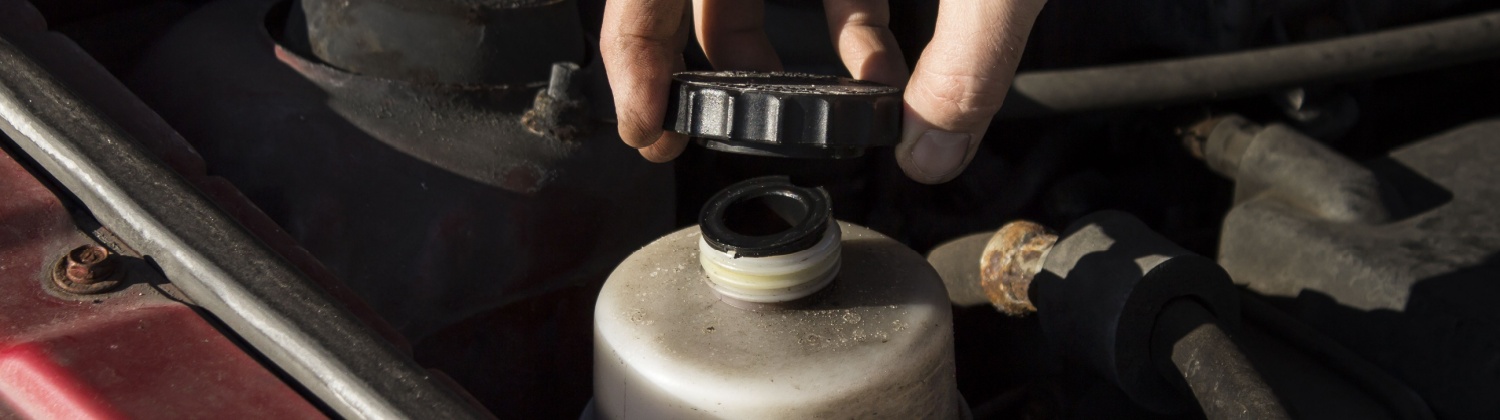 Power-Assisted Steering Fluid at Hogan Tire & Auto